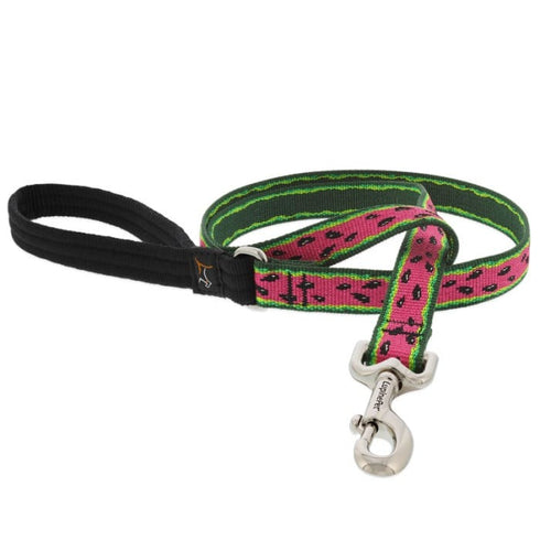 Lupine Dog Leash 3/4" X 4' Watermelon - Poudre Pet & Feed Supply